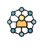 Net Evolution